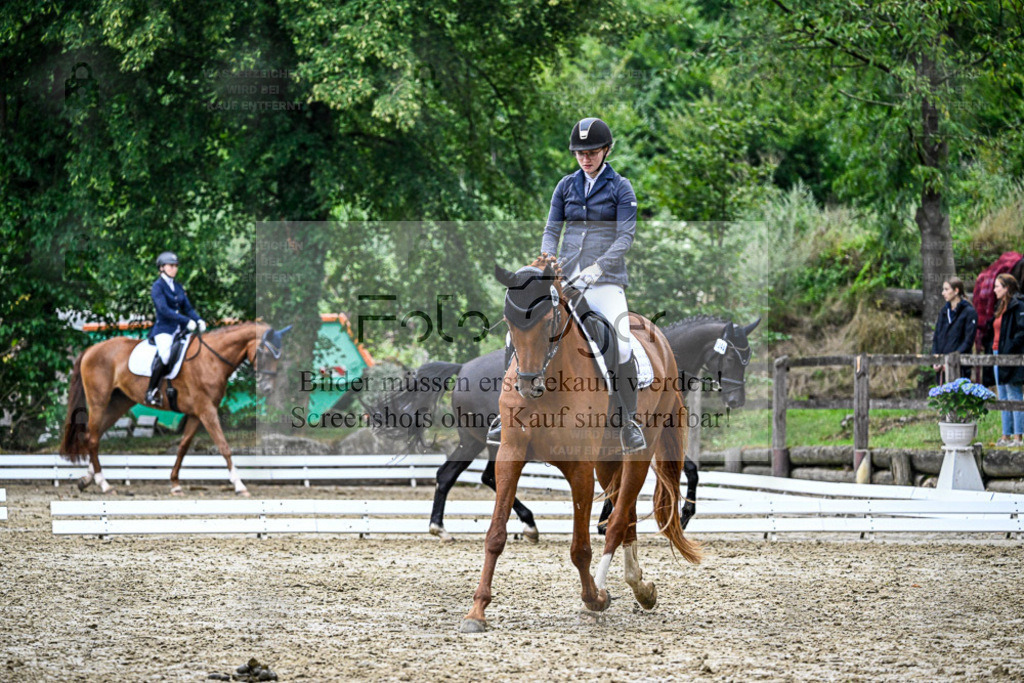 Bissendorfer Reitertage | Entdecke hochwertige Reitturnierfotos von Foto Oger. Professionell, emotional und authentisch – jetzt Lieblingsmomente im Shop bestellen. - Realisiert mit Pictrs.com