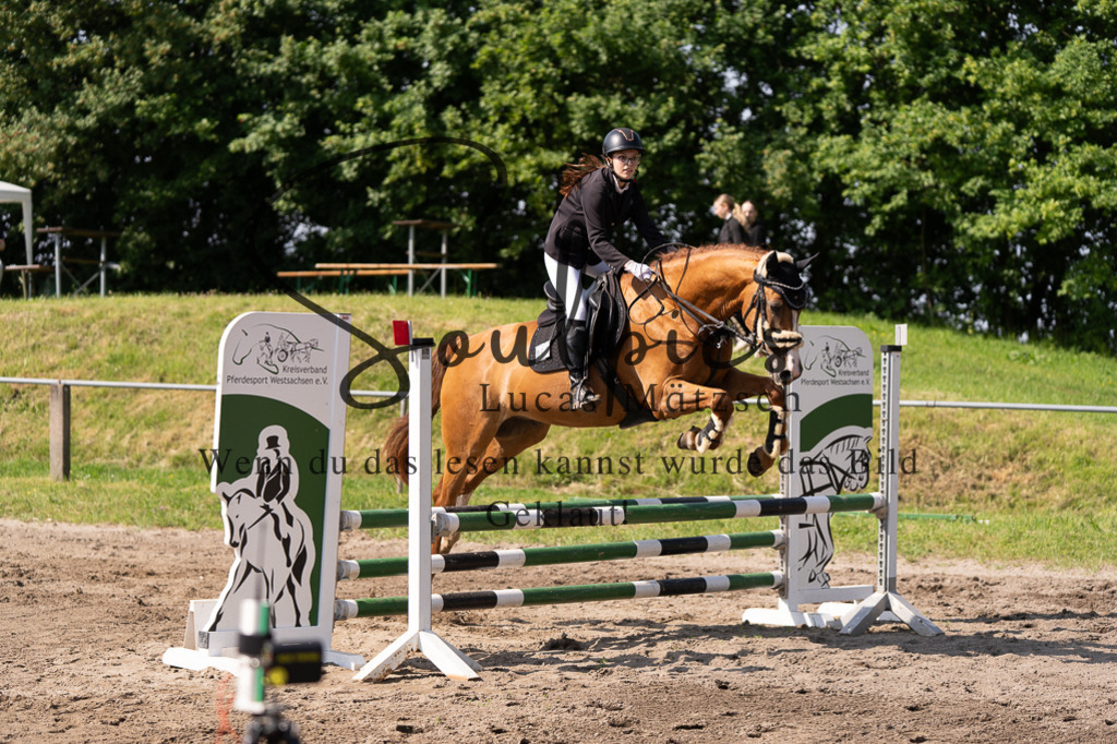 A7507348 | Turnier/Reitfotograf