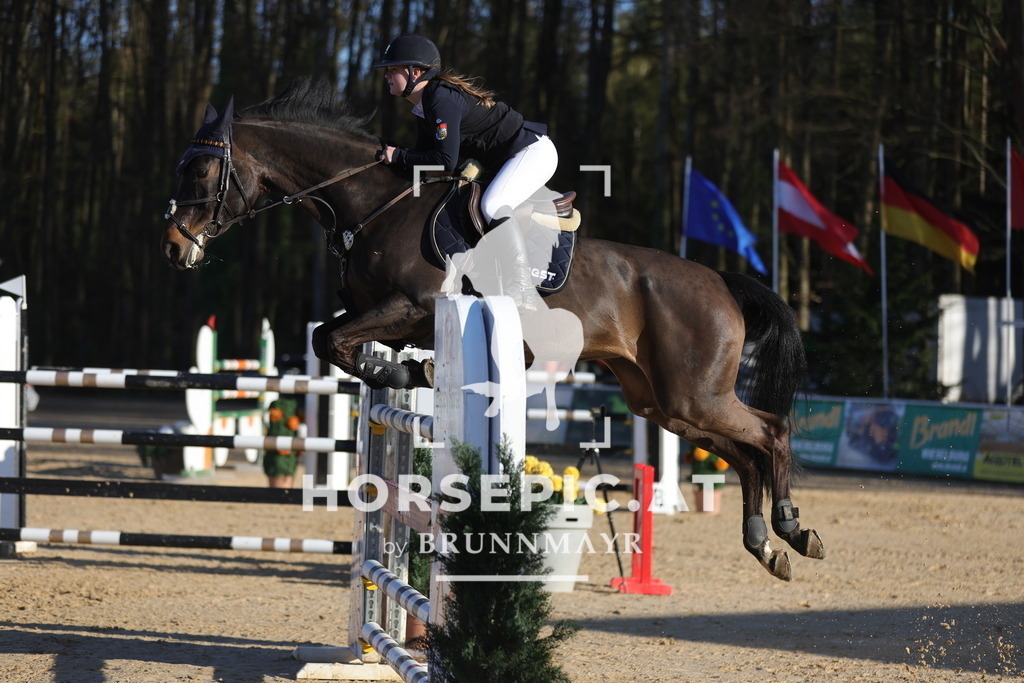 0P6A2276 | Willkommen bei Brunnmayr - Design & Fotografie – Ihrem Spezialisten für Reitturniere und Pferdeveranstaltungen in Oberösterreich, Salzburg und Bayern! Seit über 17 Jahren sind wir leidenschaftlich dabei.
