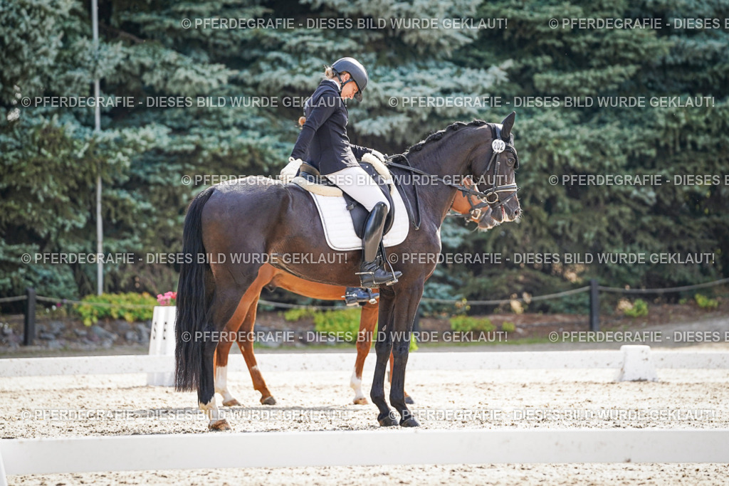 DSC06600 | Pferdegrafie