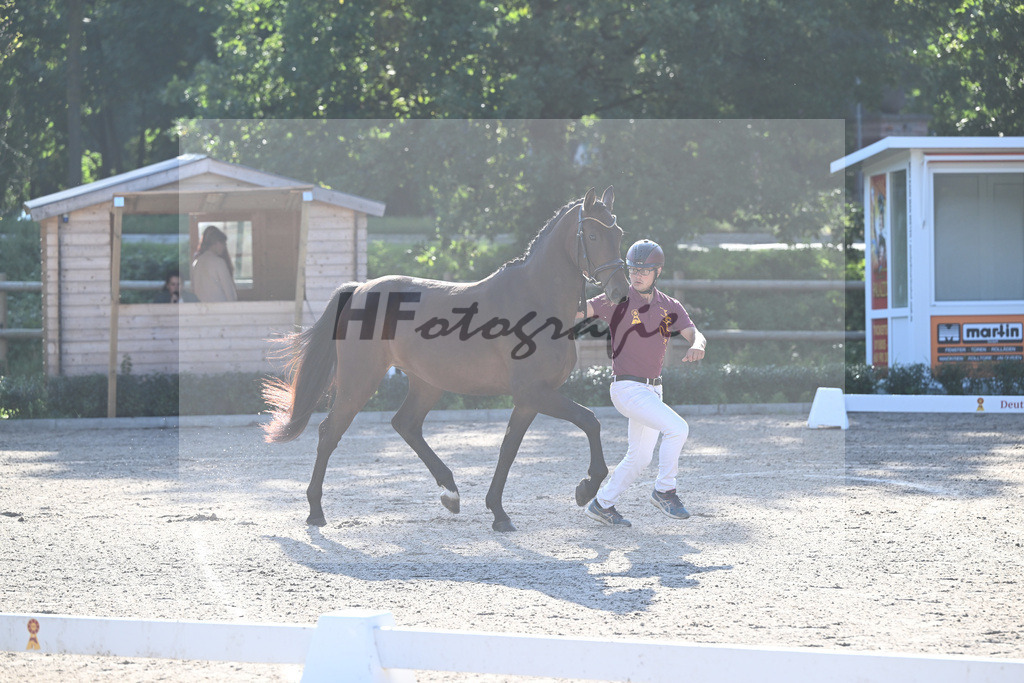 Kat-Nr. 8 Bahama Mama_ZG Sautter_36230588 | hf-fotografie - Realisiert mit Pictrs.com