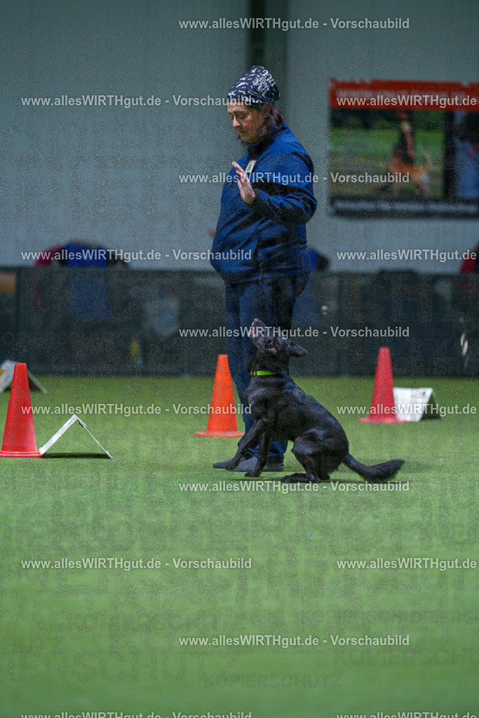 7R505978 | Professionelle Tierfotografie in Mönchengladbach von Daniel Wirth (allesWIRTHgut). Liebevolle & natürliche Bilder von Hunden & Katzen für unvergessliche Erinnerungen.