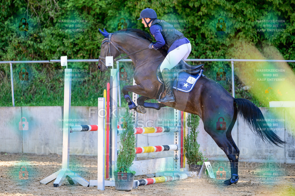 29082026-Giesenbach-Prfg10-0737 | Fokus Hufschlag Fotografie - Realisiert mit Pictrs.com