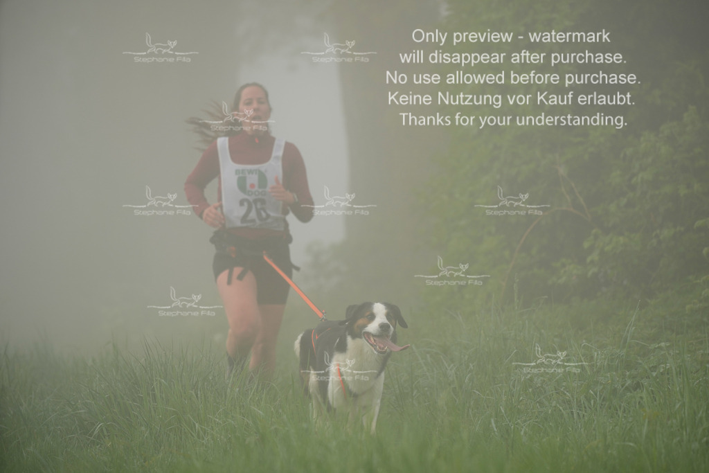 SA_GL2-136 | stephaniefillaphotographie - Realisiert mit Pictrs.com