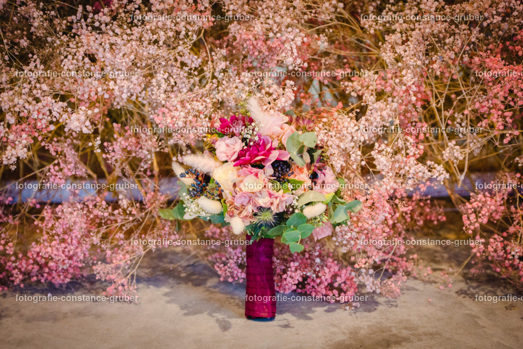 1012 | Fotografie Constance Gruber - Realisiert mit Pictrs.com