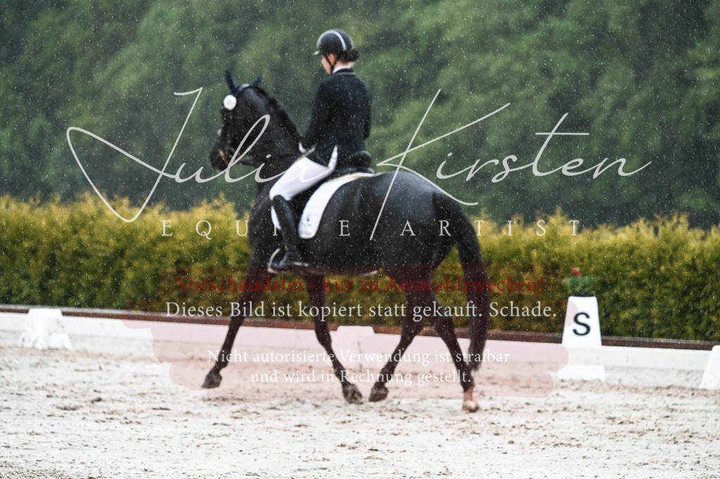DSC_4724 | Pferde- und Turnierfotografie in Westsachsen. Pferdeportraits, Auftragszeichnungen und intuitive Kunst.