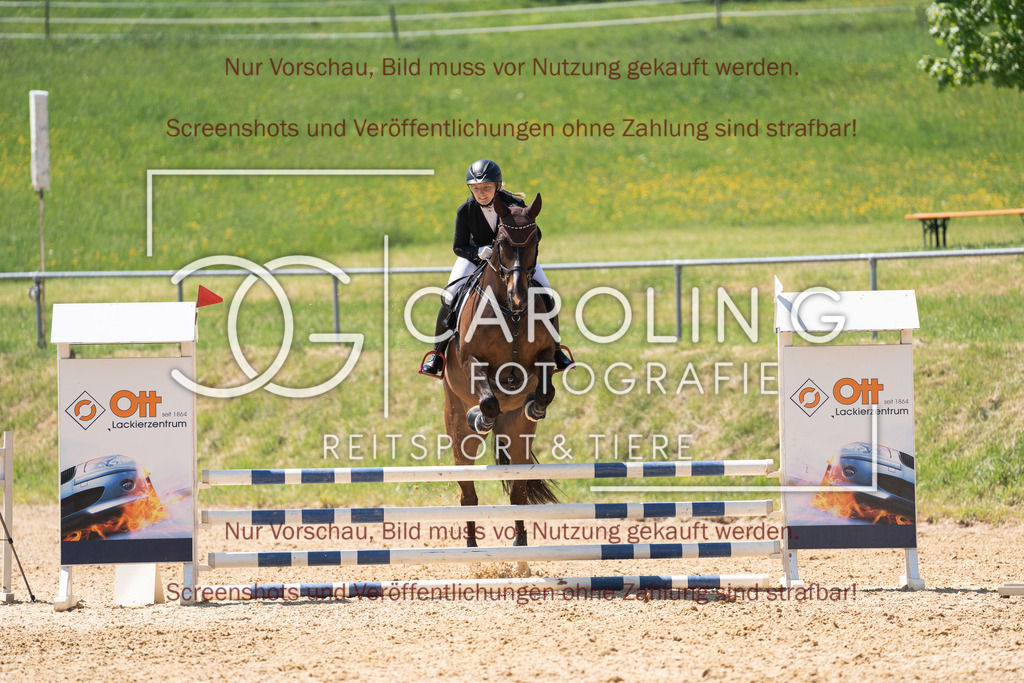 DSC04499 | Springturnier_Ehingen_Mai_2026, Sinah_Rösch, Don_Carinio_Rösch, Don_Carinio_Rösch, Don_Carinio