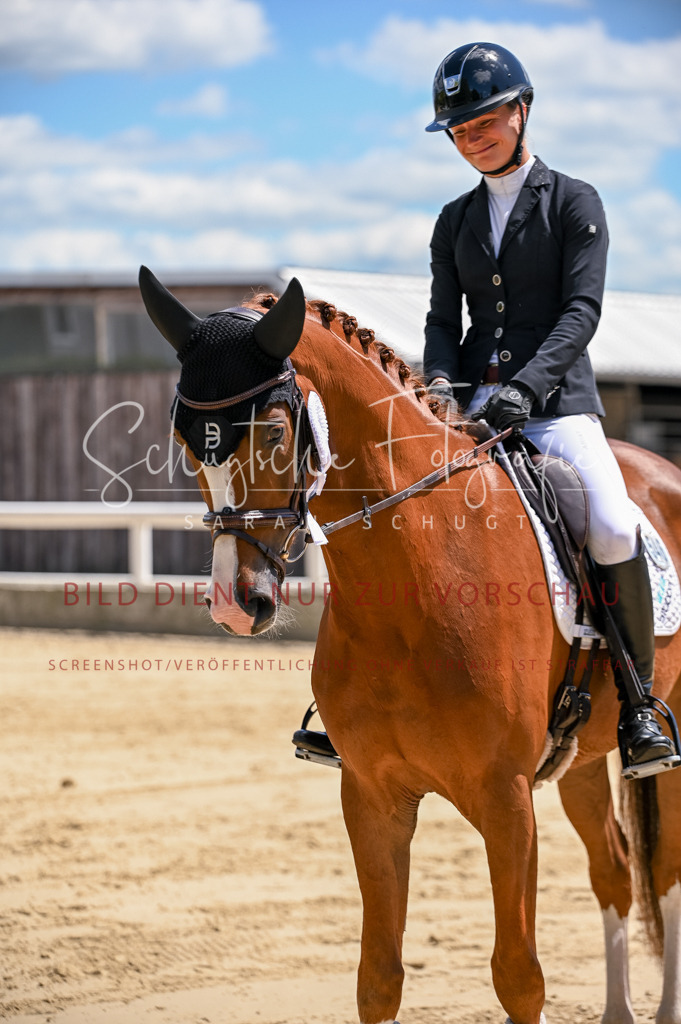 Schugtsche-Aluta25-48.Reitpferfdeprf.-317 | Schugtsche Fotografie - Realisiert mit Pictrs.com