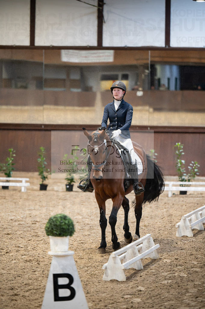 Hallenreittunier Voxtrup 2023 | Entdecke hochwertige Reitturnierfotos von Foto Oger. Professionell, emotional und authentisch – jetzt Lieblingsmomente im Shop bestellen.Deutschlandweite Turnierfotografie. - Realisiert mit Pictrs.com