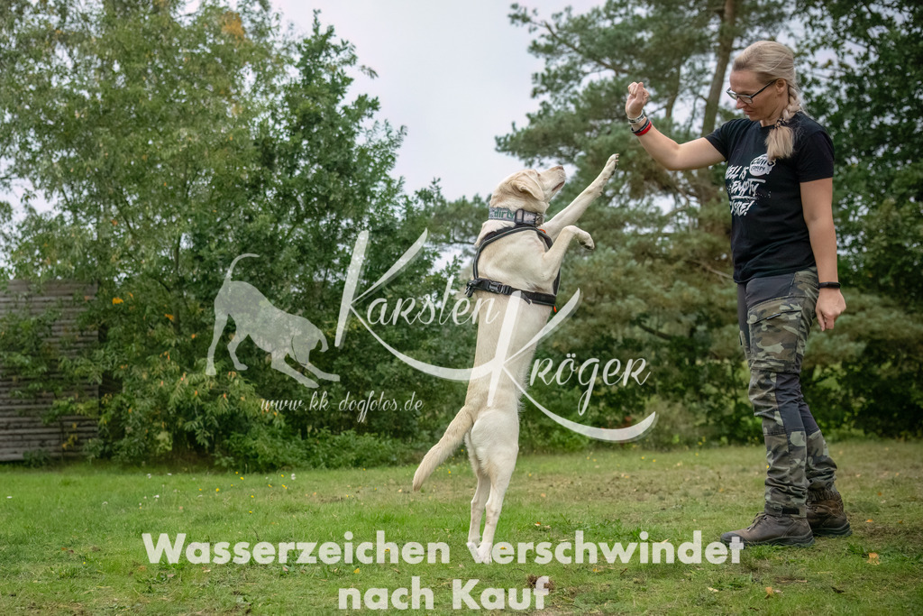 1220_ZZ90716-2-Bearbeitet | kk-dogfotos