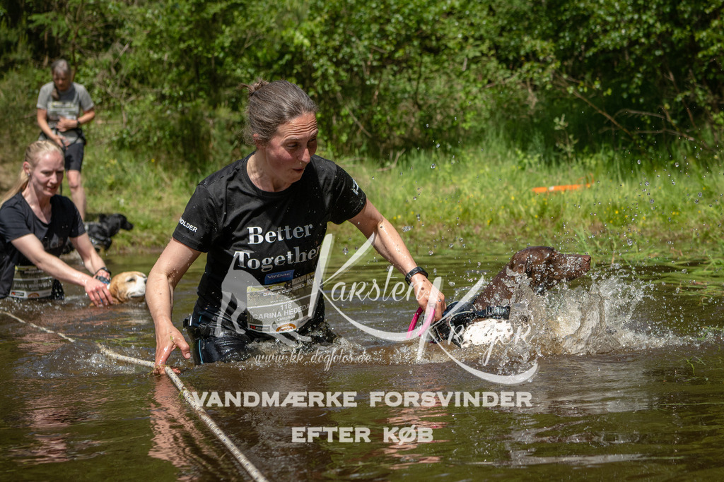 1216DKK992380 | kk-dogfotos