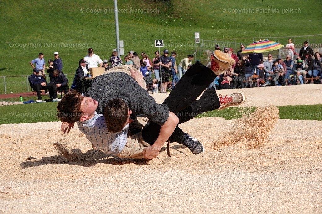 DSC00457 | Schwingen - Realisiert mit Pictrs.com