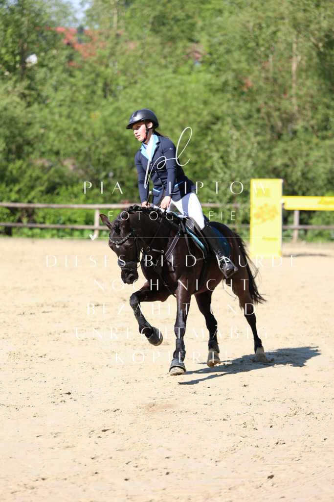 IMGS4680 | pl-fotografie