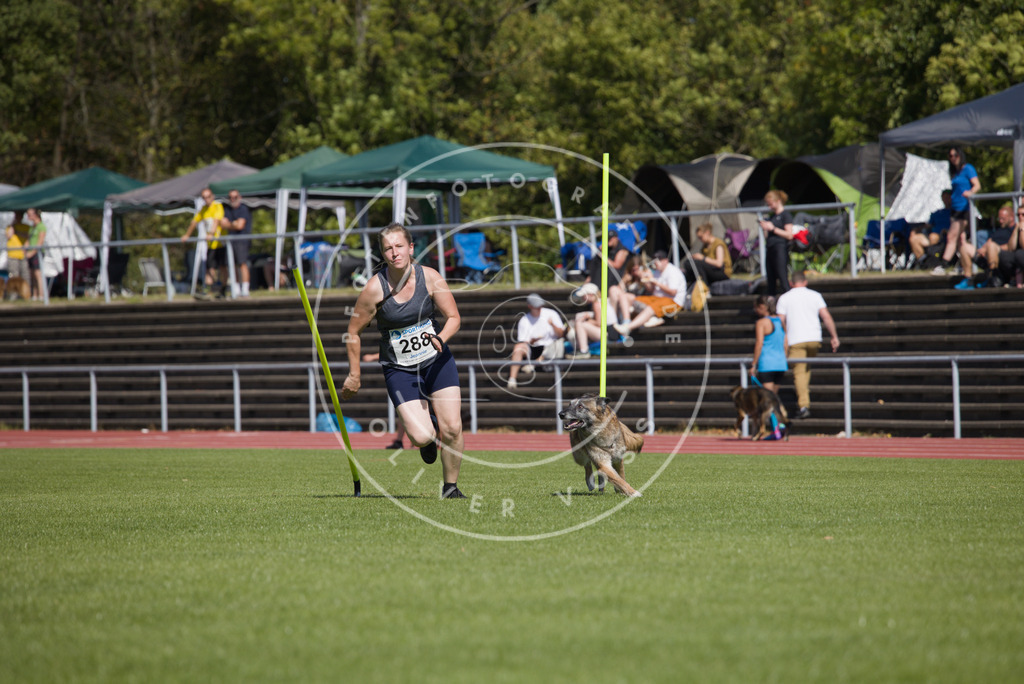 0L8A6943 | Hundefotografie, Tierfotograf, Pfotenfotografie, Fotoshooting Hund, Hunde Portrait, Hundesport, Hundeportraits, Heideshooting, Hunde, Sportfotograf, Hundefotograf, Turnierhundsport, THS,  - Realisiert mit Pictrs.com
