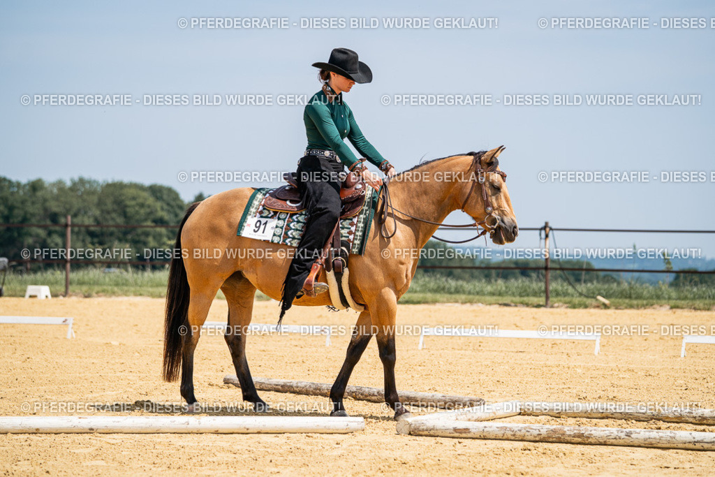 DSC01367 | Pferdegrafie