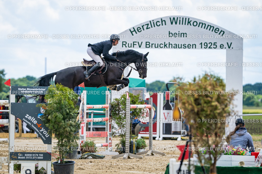 DSC05763 | Pferdegrafie