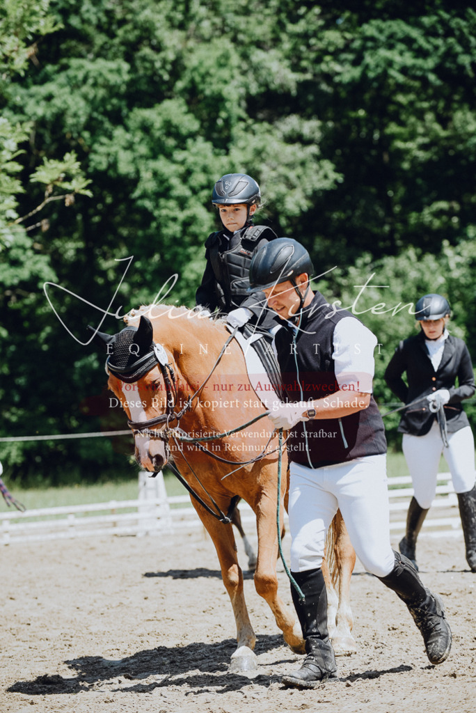 DSC_2585 | Pferde- und Turnierfotografie in Westsachsen. Pferdeportraits, Auftragszeichnungen und intuitive Kunst.