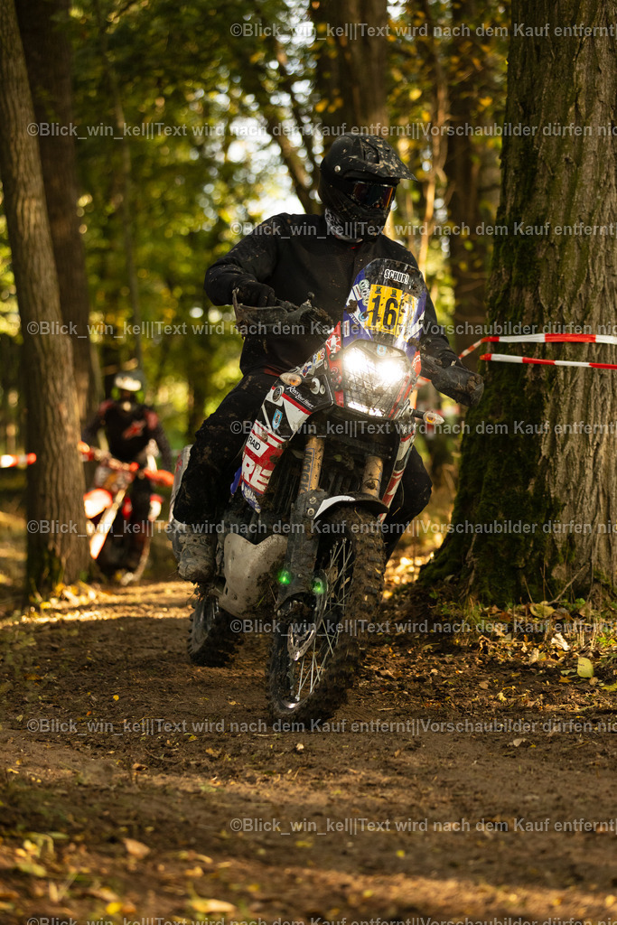 E68A8827 | blick_win_kel