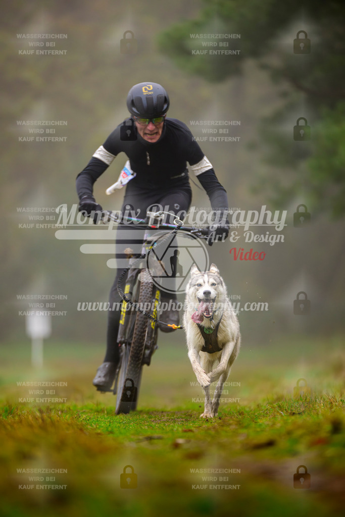 MompixPhotography_Bischwiller2025_Bike-10 | mompixphotography