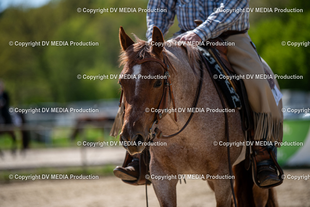 Heiligenwald Tag 3-1562 | dv-media-shop - Realisiert mit Pictrs.com