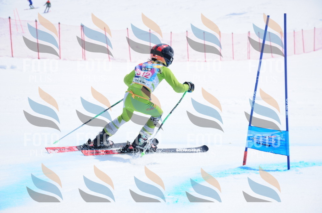 DSC_6780 | holidayphoto