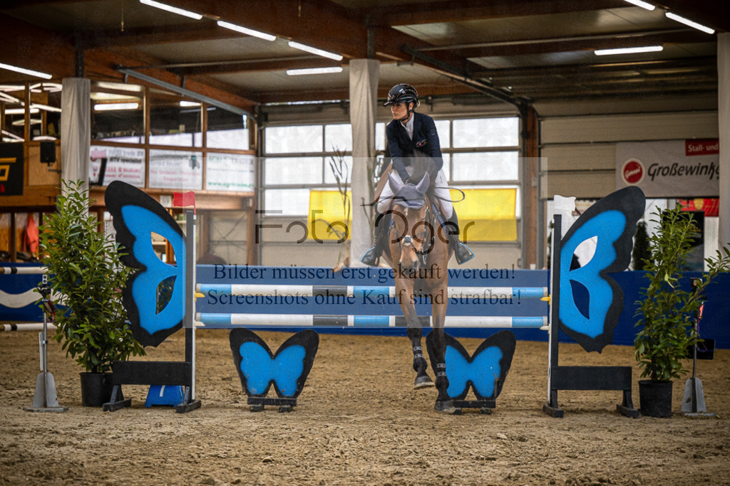 DOS_B1351 | Entdecke hochwertige Reitturnierfotos von Foto Oger. Professionell, emotional und authentisch – jetzt Lieblingsmomente im Shop bestellen.Deutschlandweite Turnierfotografie. - Realisiert mit Pictrs.com