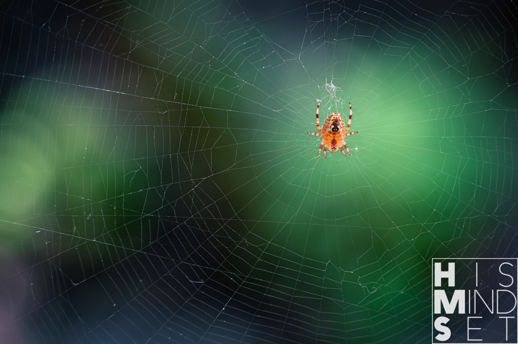 Please no photo | Sichere dir dein Lieblingsbild von HISMINDSET als Print für dein Zuhause oder das Büro! - Realisiert mit Pictrs.com