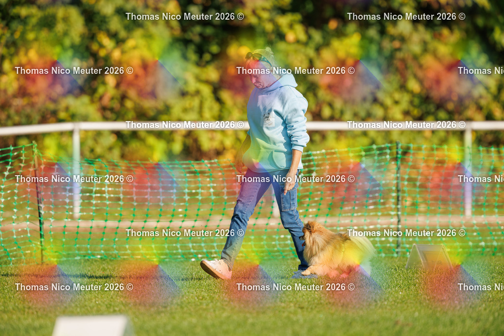 Thomas_Nico_Meuter(C)_04. Oktober 2026_223A0549 | Bild von Thomas Nico Meuter - Realisiert mit Pictrs.com