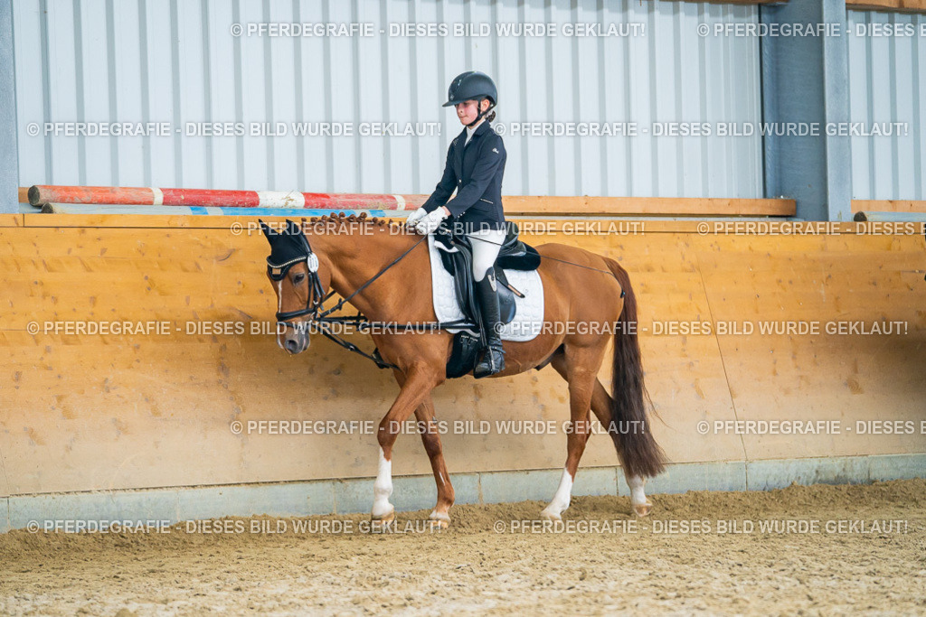 DSC01396 | Pferdegrafie