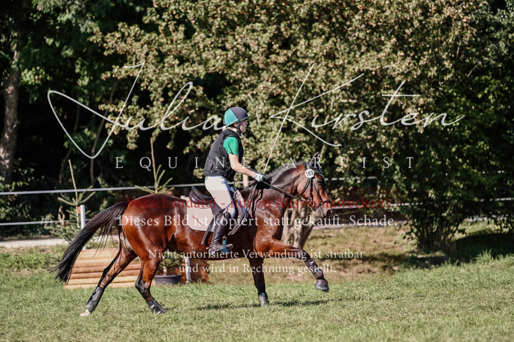 DSC_3609 | Pferde- und Turnierfotografie in Westsachsen. Pferdeportraits, Auftragszeichnungen und intuitive Kunst.