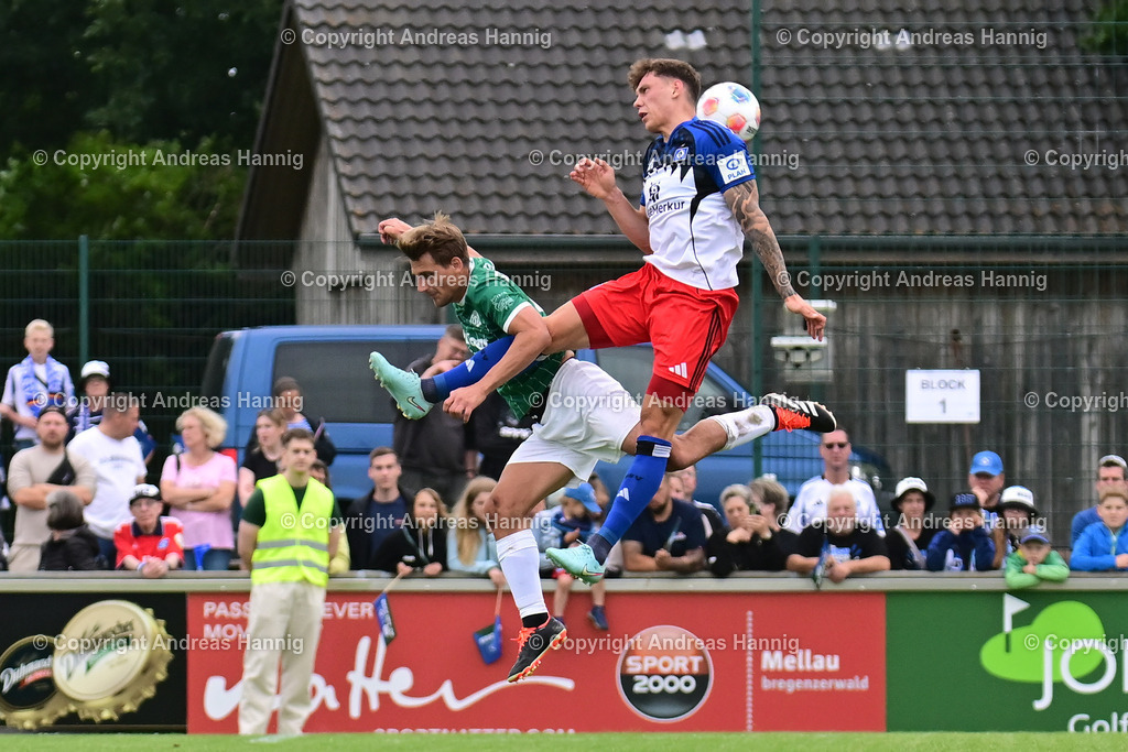 Fußball I Herren I Testspiel  I TSV Elstorf - Hamburger SV I 5.7.2025 | a-hannig - Realisiert mit Pictrs.com