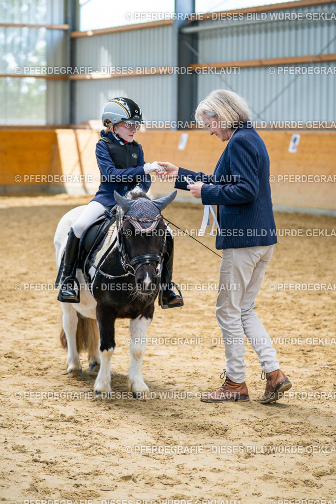 DSC01459 | Pferdegrafie