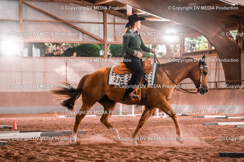 NE300167 | dv-media-shop - Realisiert mit Pictrs.com