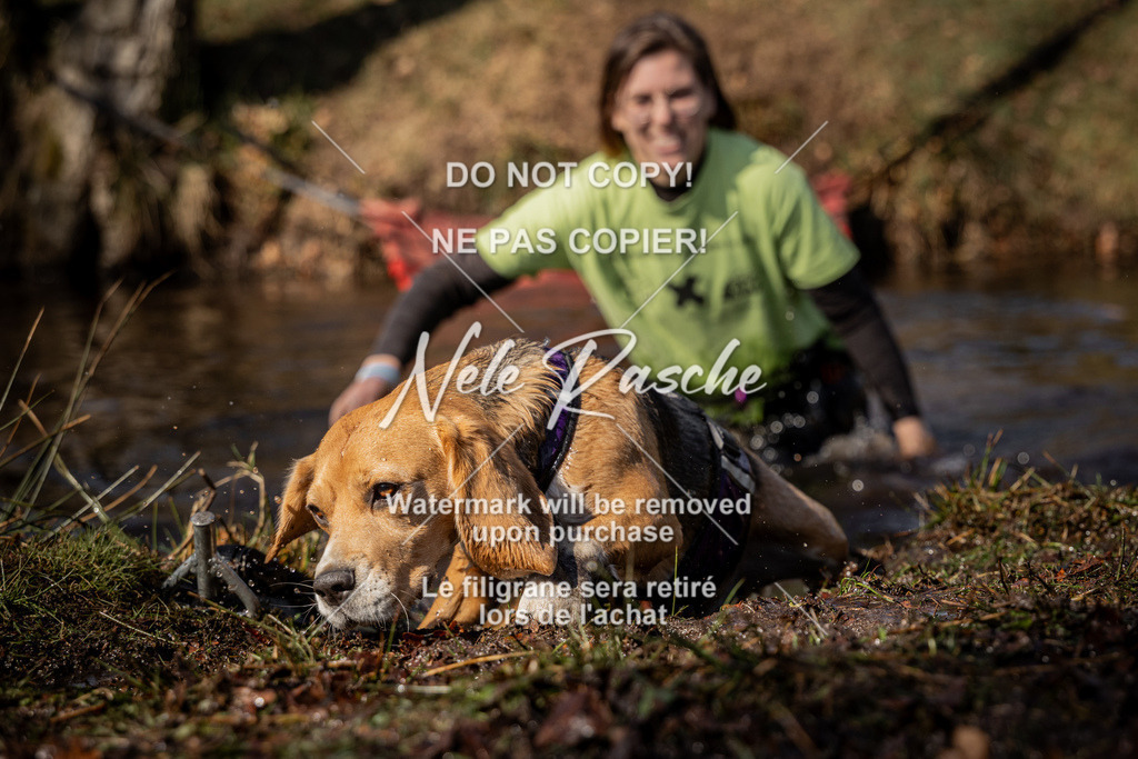 nelerasche_FS1230-1300_264 | nelerasche