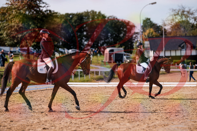 2026_10_03_Siefer-Hof_130838_Z81_61238264 | Professionelle Reitsport-, Turnier- und Eventfotografie von Robert Broda. Galerien mit ausgewählten und bearbeiteten Bildern direkt online ansehen und bestellen.