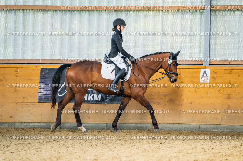 DSC03535 | Pferdegrafie