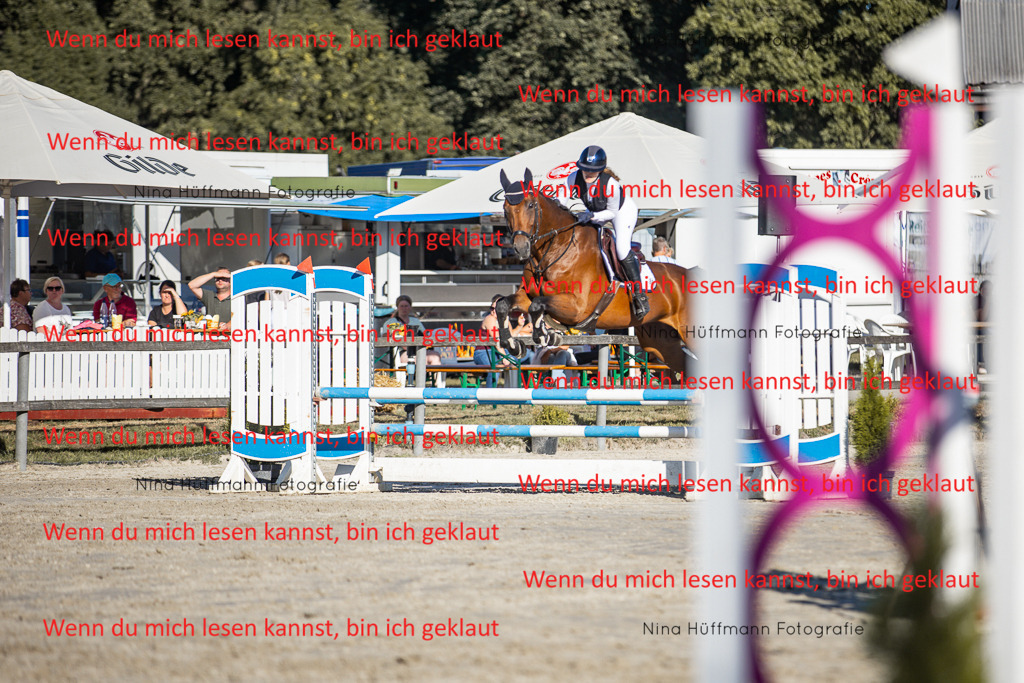 BK1A7694 | Turnierbilder Turnierfotos Nina Hüffmann Turnierfotografie Pferdefotografie Tierzeichnung Haustierzeichnung Pferdezeichnung Hundezeichnung Videograf  - Realisiert mit Pictrs.com