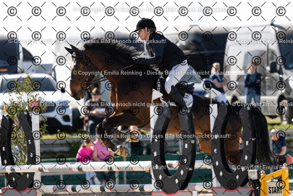 CL5A6006 | Emilia Reinking Fotografie - Realisiert mit Pictrs.com