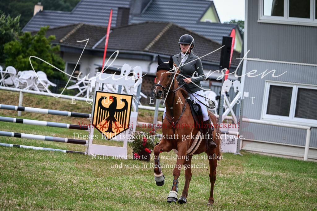 DSC_8453 | Pferde- und Turnierfotografie in Westsachsen. Pferdeportraits, Auftragszeichnungen und intuitive Kunst.