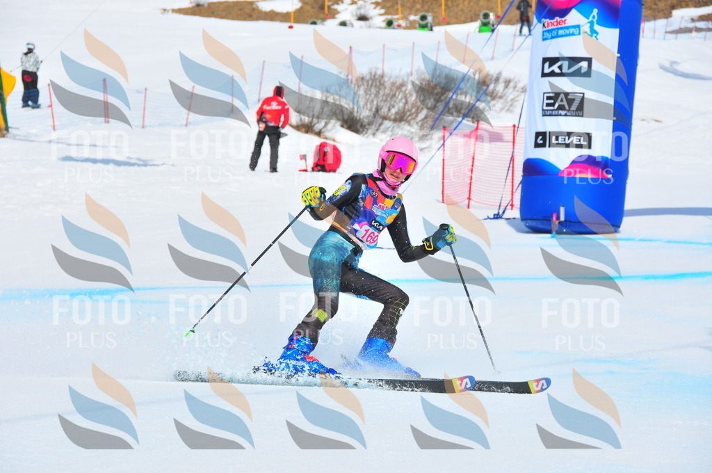 DSC_5250 | holidayphoto