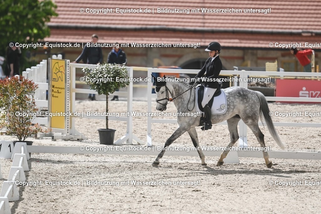 20250516_CCI2_Dressur_0507 | Foto: Thomas Hartig