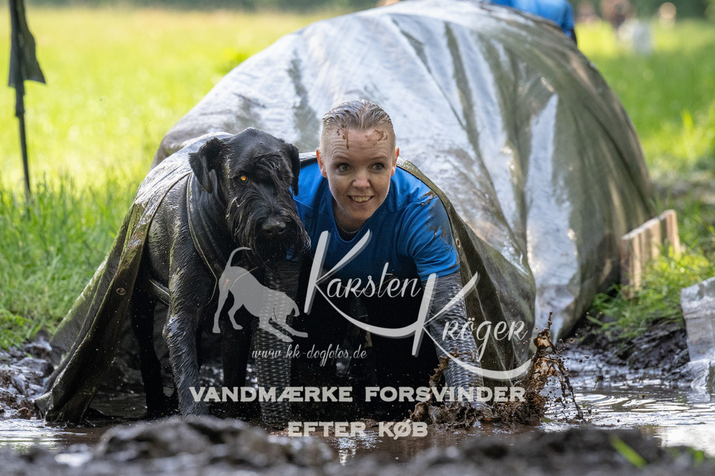 1153_ZZ90015 | kk-dogfotos