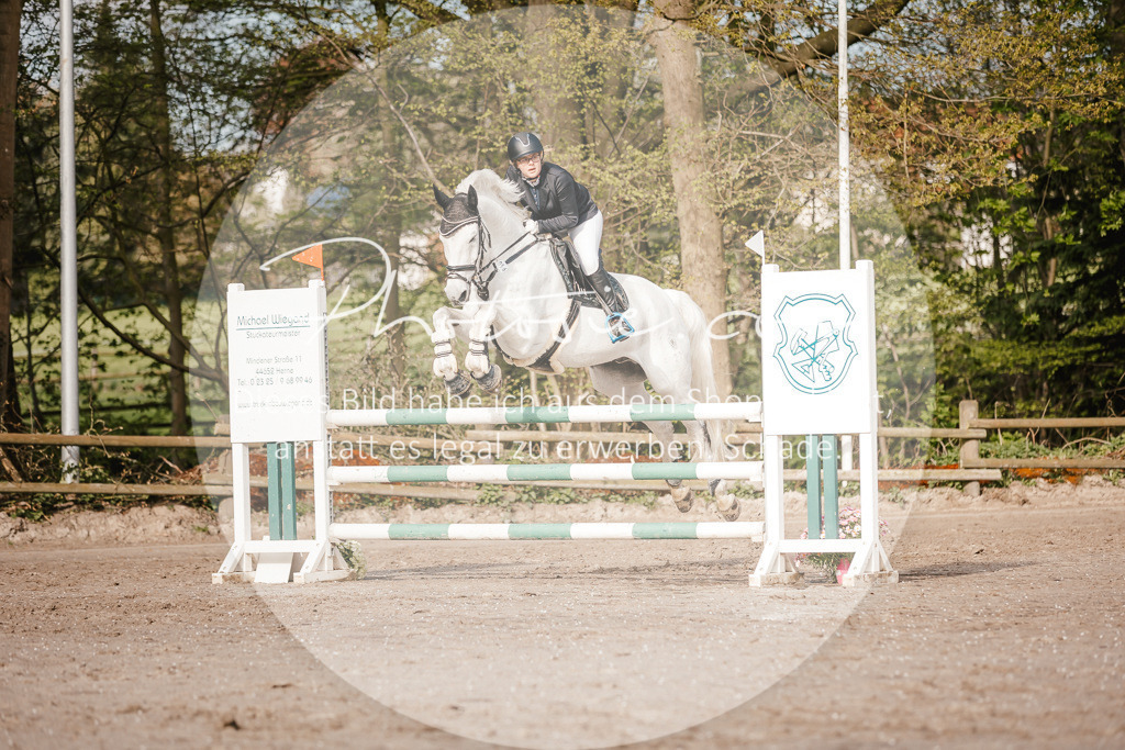 3I6A3464 | Stimmungsvolle Portraits und Reitsportfotografie im Ruhrgebiet und im Münsterland.

Pferdefotografie, Hundefotografie, Tierfotografie, Reportagen, Portraits von Tier und Mensch, Turnierfotografie in Bochum, Recklinghausen, Marl, Haltern am See, Dülmen.. - Realisiert mit Pictrs.com