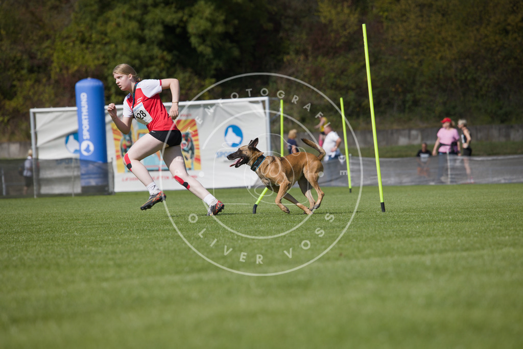 0L8A2892 | Hundefotografie, Tierfotograf, Pfotenfotografie, Fotoshooting Hund, Hunde Portrait, Hundesport, Hundeportraits, Heideshooting, Hunde, Sportfotograf, Hundefotograf, Turnierhundsport, THS,  - Realisiert mit Pictrs.com