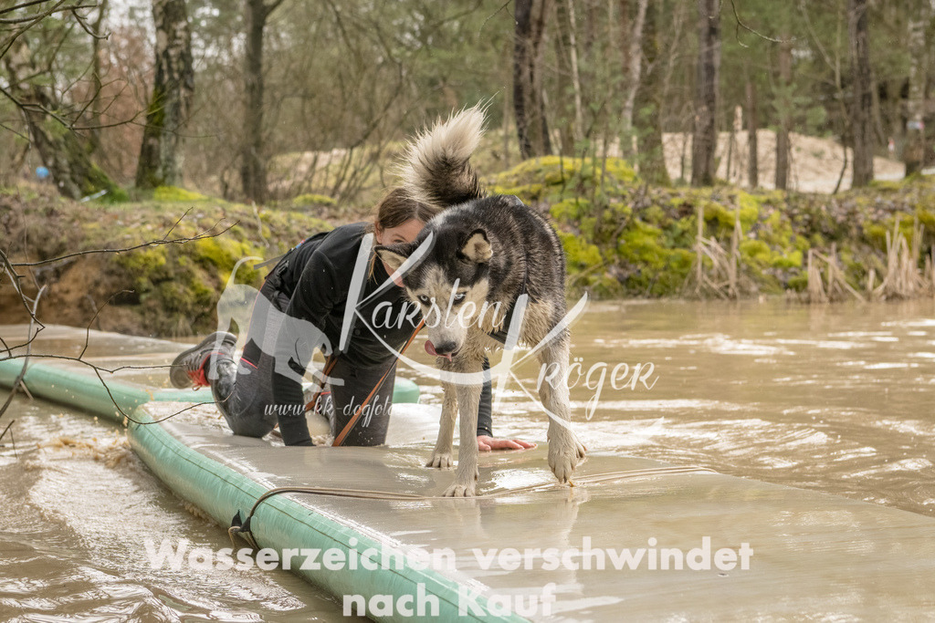 1344_ZZ90563-Bearbeitet | kk-dogfotos