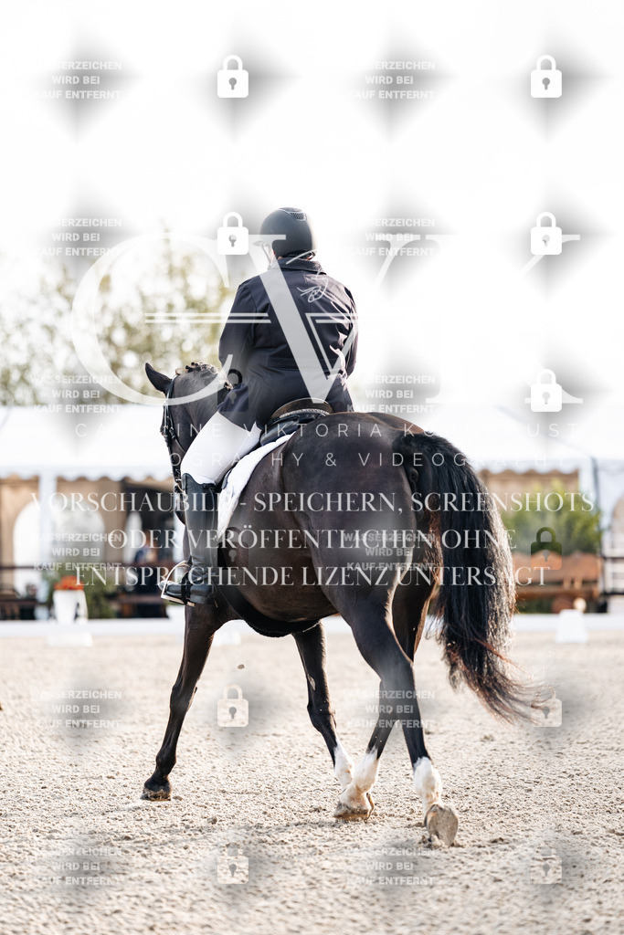 CK900364 | Turnierfotografie Pferdefotografie Trier Rheinland-Pfalz Pferdesport Reitsport Tierfotografie Sportfotografie Pferdevideo Pferdevideografie Equestrianvideography equestrianphotography  - Realisiert mit Pictrs.com