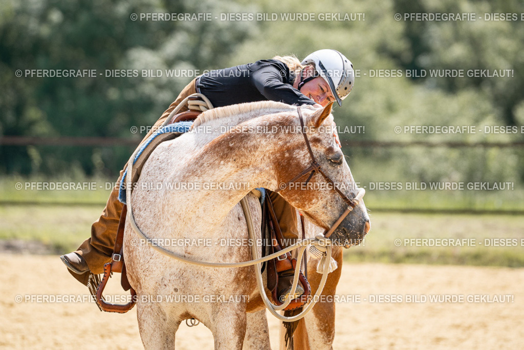 DSC00900 | Pferdegrafie