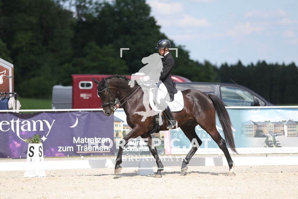 0P6A2117 | Willkommen bei Brunnmayr - Design & Fotografie – Ihrem Spezialisten für Reitturniere und Pferdeveranstaltungen in Oberösterreich, Salzburg und Bayern! Seit über 17 Jahren sind wir leidenschaftlich dabei.