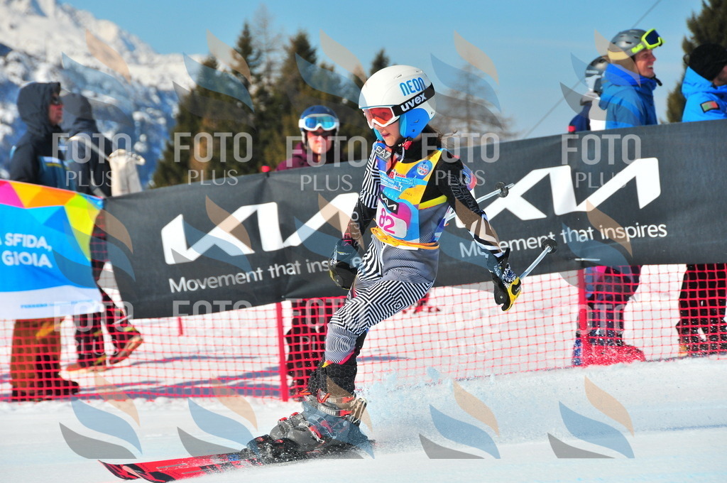 DSC_4420 | holidayphoto