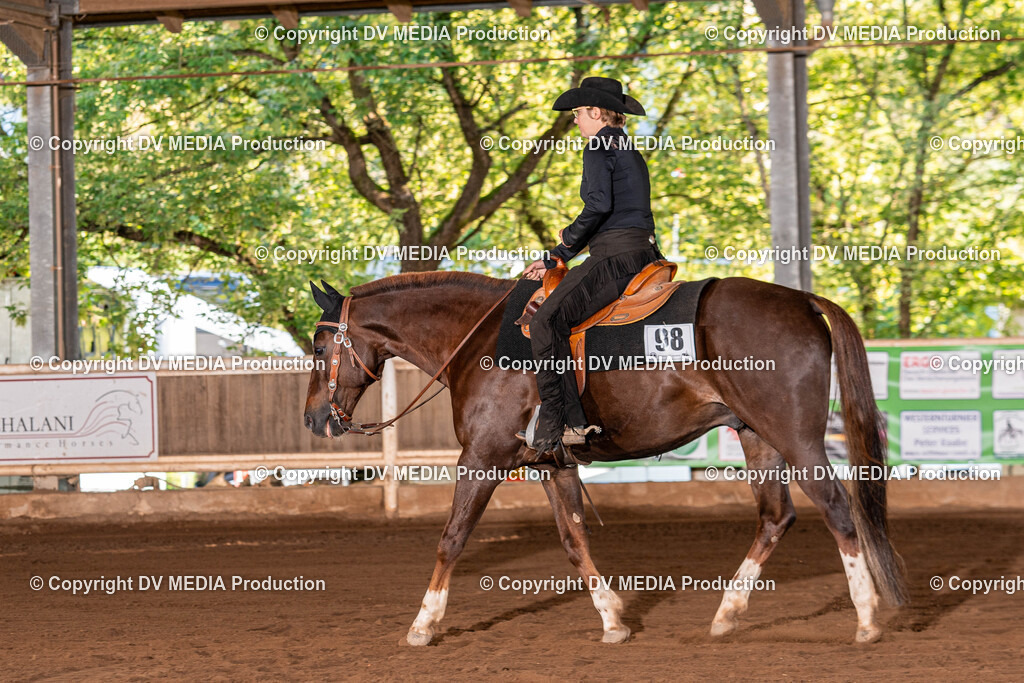 Erbach Tag 2-91 | dv-media-shop - Realisiert mit Pictrs.com